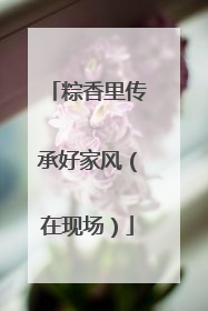 粽香里传承好家风（在现场）