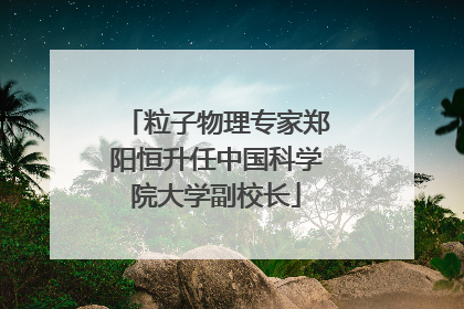 粒子物理专家郑阳恒升任中国科学院大学副校长