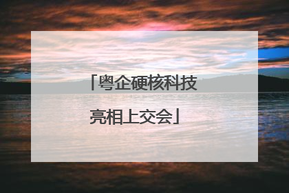 粤企硬核科技亮相上交会
