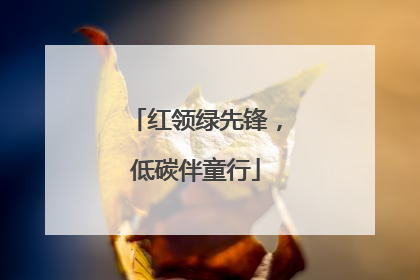 红领绿先锋，低碳伴童行