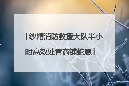 纱帽消防救援大队半小时高效处置商铺蛇患