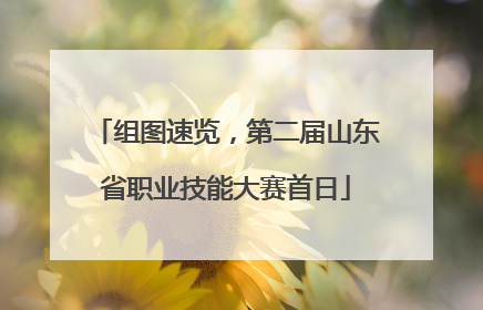 组图速览，第二届山东省职业技能大赛首日