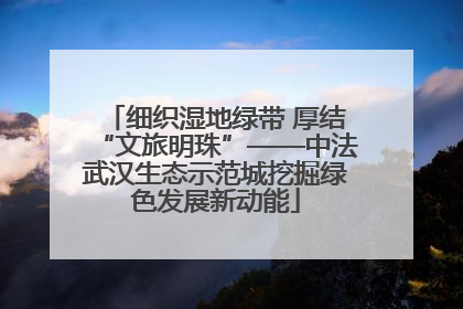 细织湿地绿带 厚结“文旅明珠”——中法武汉生态示范城挖掘绿色发展新动能