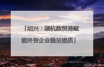 绍兴：融杭数贸港赋能外贸企业稳量提质