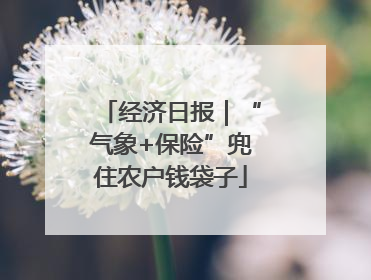 经济日报｜“气象+保险”兜住农户钱袋子