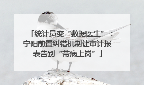统计员变“数据医生”：宁阳前置纠错机制让审计报表告别“带病上岗”