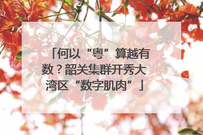 何以“粤”算越有数？韶关集群开秀大湾区“数字肌肉”