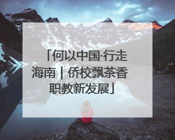 何以中国·行走海南｜侨校飘茶香 职教新发展