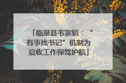 临泉县韦寨镇：“有事找书记”机制为夏收工作保驾护航