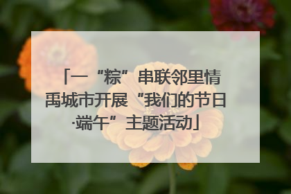 一“粽”串联邻里情 禹城市开展“我们的节日·端午”主题活动