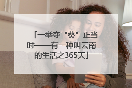 一举夺“葵”正当时——有一种叫云南的生活之365天