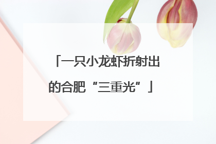 一只小龙虾折射出的合肥“三重光”