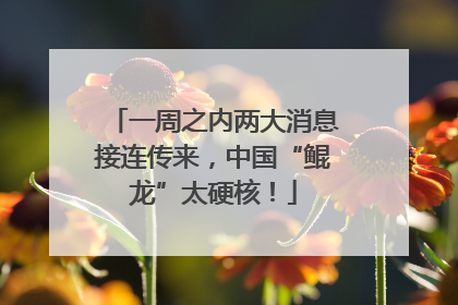 一周之内两大消息接连传来，中国“鲲龙”太硬核！