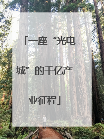 一座“光电城”的千亿产业征程