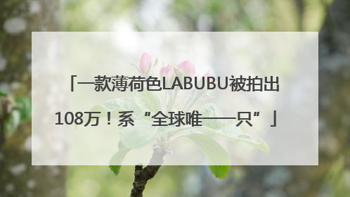 一款薄荷色LABUBU被拍出108万！系“全球唯一一只”
