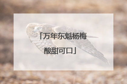 万年东魁杨梅 酸甜可口