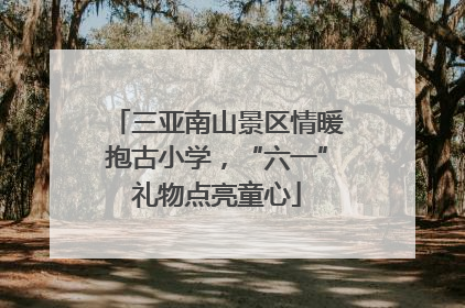 三亚南山景区情暖抱古小学，“六一”礼物点亮童心