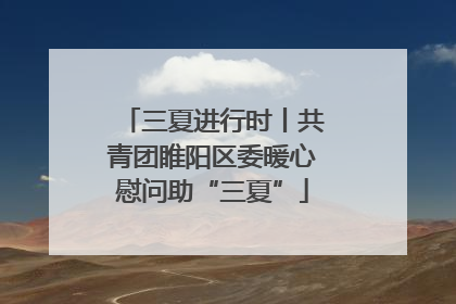 三夏进行时丨共青团睢阳区委暖心慰问助“三夏”