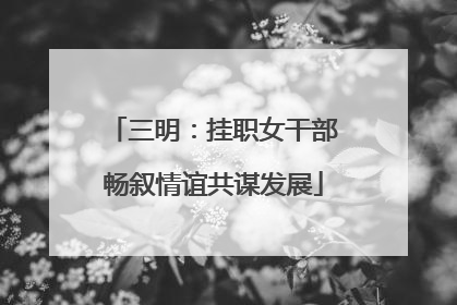 三明：挂职女干部畅叙情谊共谋发展