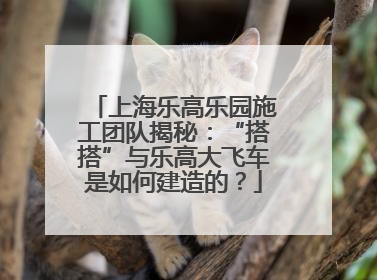 上海乐高乐园施工团队揭秘：“搭搭”与乐高大飞车是如何建造的？