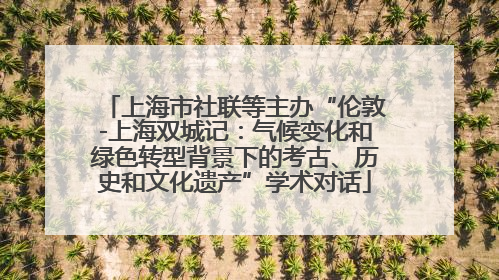 上海市社联等主办“伦敦-上海双城记：气候变化和绿色转型背景下的考古、历史和文化遗产”学术对话