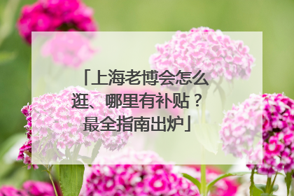 上海老博会怎么逛、哪里有补贴？最全指南出炉