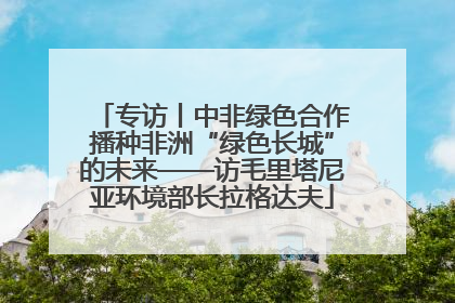 专访丨中非绿色合作播种非洲“绿色长城”的未来——访毛里塔尼亚环境部长拉格达夫
