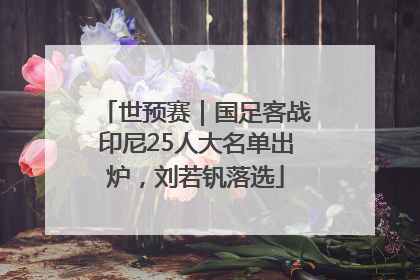 世预赛｜国足客战印尼25人大名单出炉，刘若钒落选