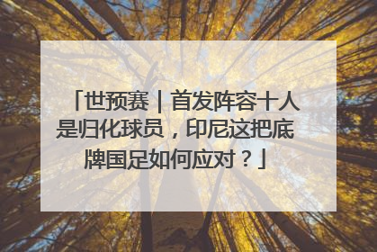 世预赛｜首发阵容十人是归化球员，印尼这把底牌国足如何应对？