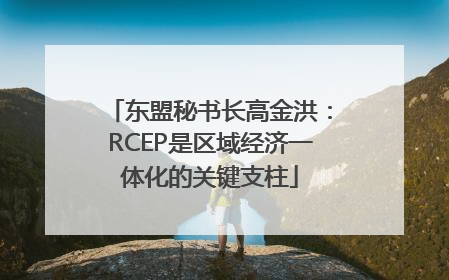 东盟秘书长高金洪：RCEP是区域经济一体化的关键支柱