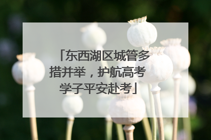东西湖区城管多措并举，护航高考学子平安赴考