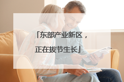 东部产业新区，正在拔节生长