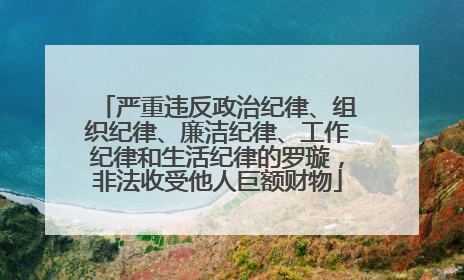 严重违反政治纪律、组织纪律、廉洁纪律、工作纪律和生活纪律的罗璇，非法收受他人巨额财物