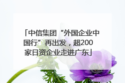 中信集团“外国企业中国行”再出发，超200家日资企业走进广东