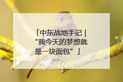 中东战地手记｜“我今天的梦想就是一块面包”