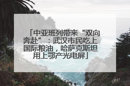 中亚班列带来“双向奔赴”：武汉市民吃上国际粮油，哈萨克斯坦用上鄂产光电屏