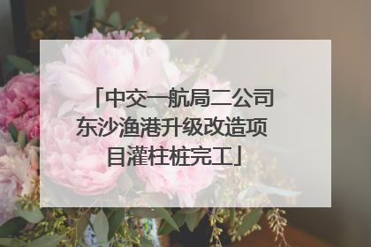 中交一航局二公司东沙渔港升级改造项目灌柱桩完工