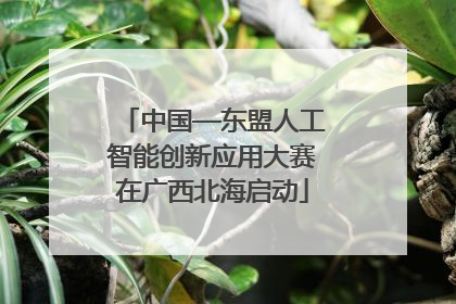 中国—东盟人工智能创新应用大赛在广西北海启动