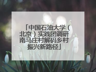 中国石油大学（北京）实践团调研南马庄村解码乡村振兴新路径