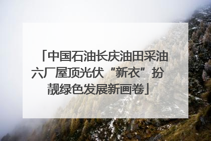 中国石油长庆油田采油六厂屋顶光伏“新衣”扮靓绿色发展新画卷