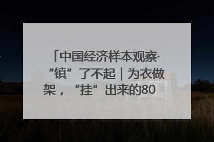 中国经济样本观察·“镇”了不起｜为衣做架，“挂”出来的80亿元“衣架产业”
