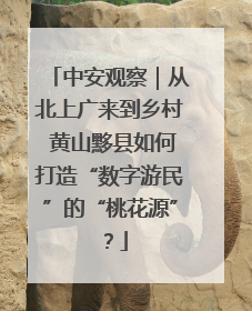 中安观察｜从北上广来到乡村 黄山黟县如何打造“数字游民”的“桃花源”？