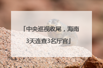 中央巡视收尾，海南3天连查3名厅官