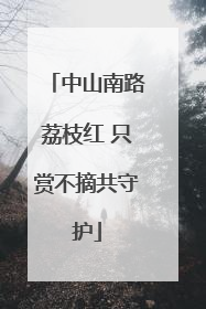 中山南路荔枝红 只赏不摘共守护