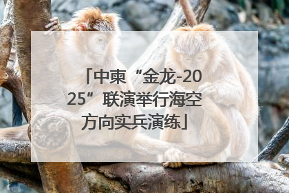 中柬“金龙-2025”联演举行海空方向实兵演练