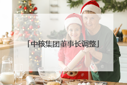 中核集团董事长调整