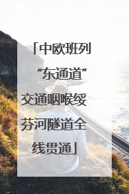 中欧班列“东通道”交通咽喉绥芬河隧道全线贯通