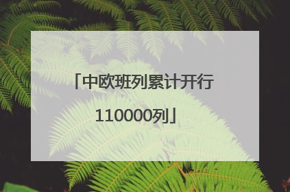 中欧班列累计开行110000列
