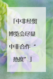 中非经贸博览会尽显中非合作“热度”
