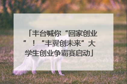 丰台喊你“回家创业”！“丰翼创未来”大学生创业争霸赛启动